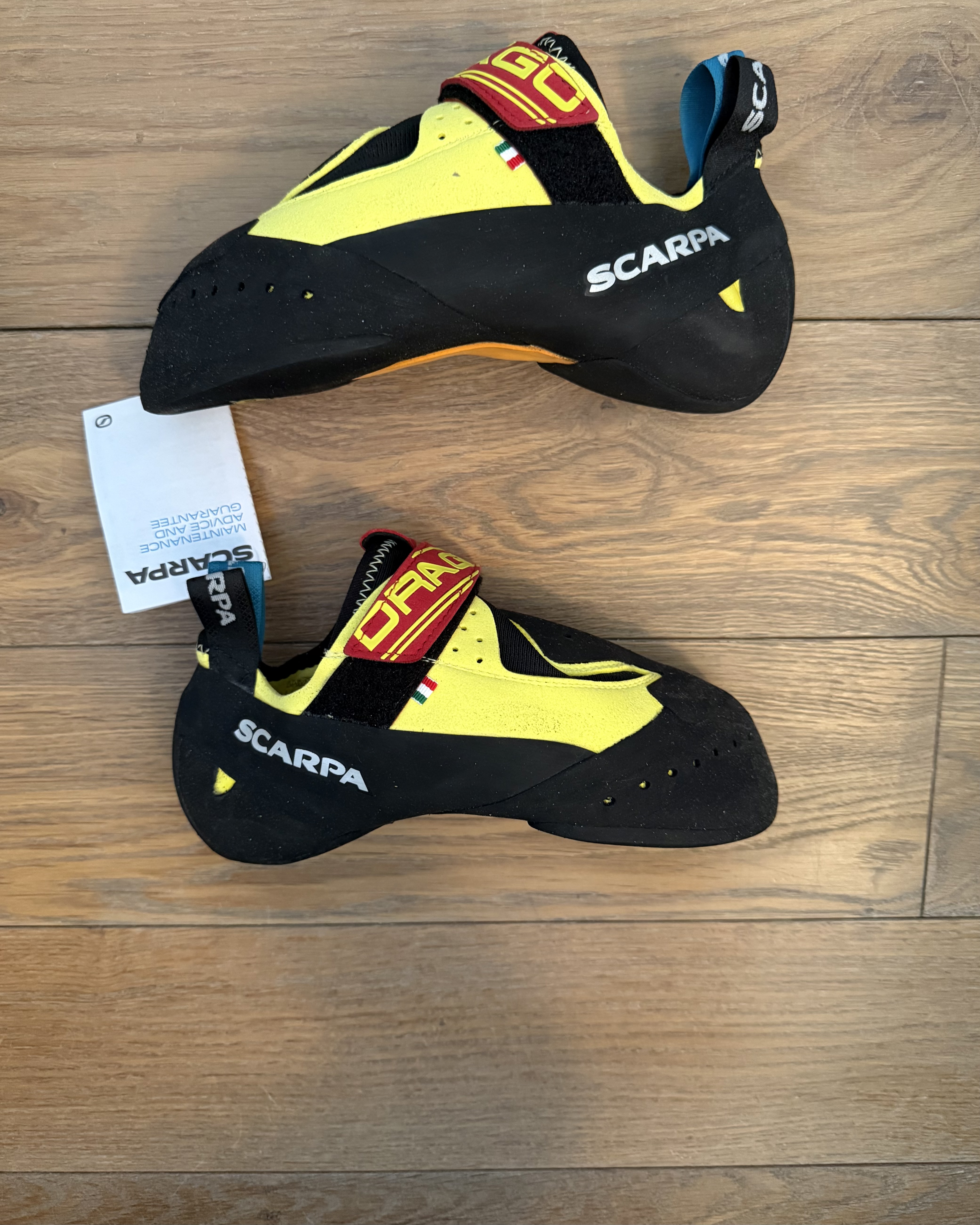 Scarpa Drago