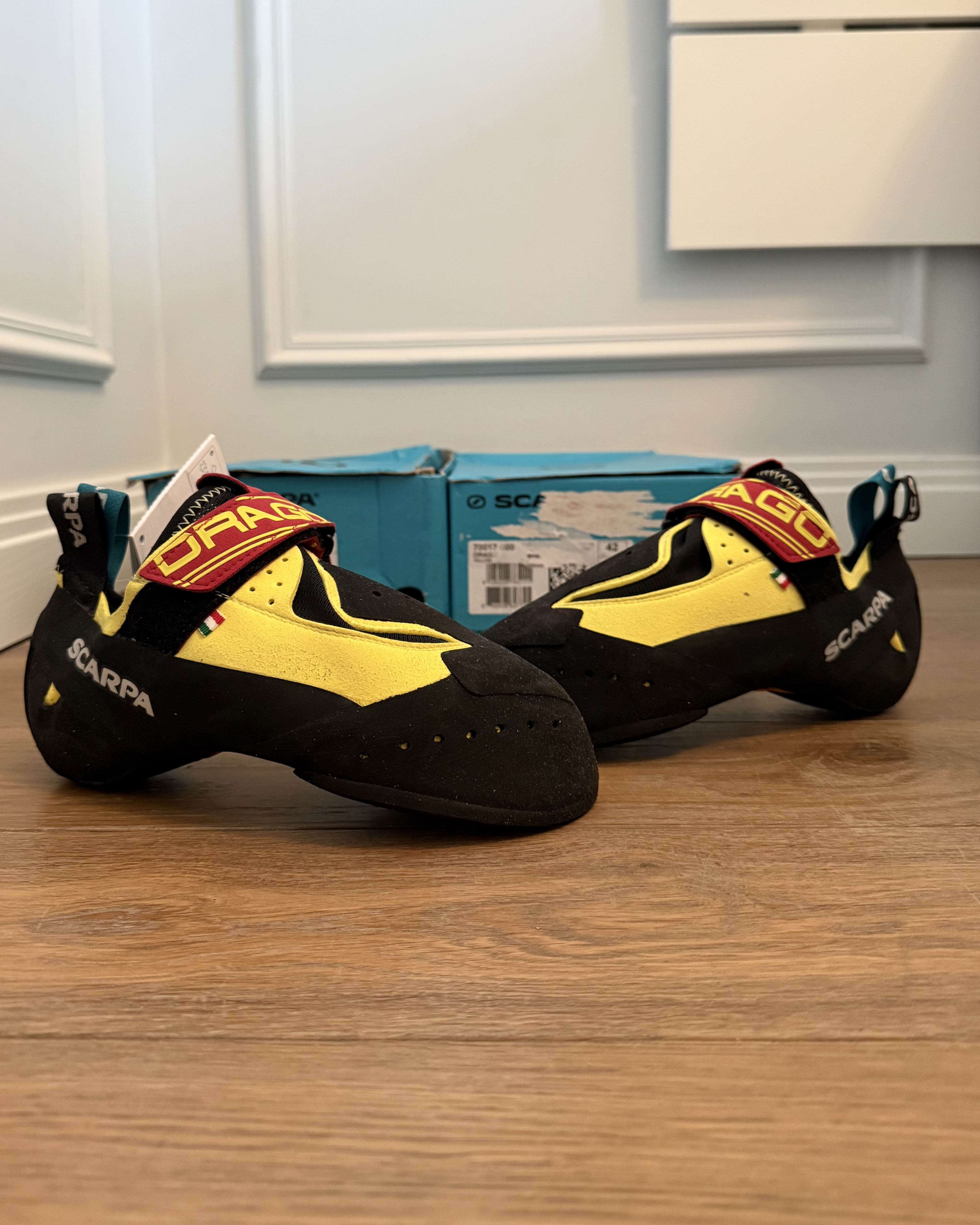 Scarpa Drago